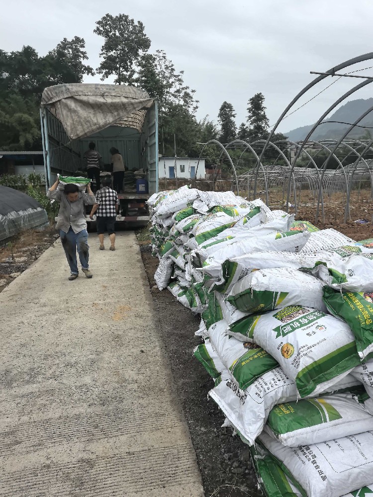 乐山土豆检测报告